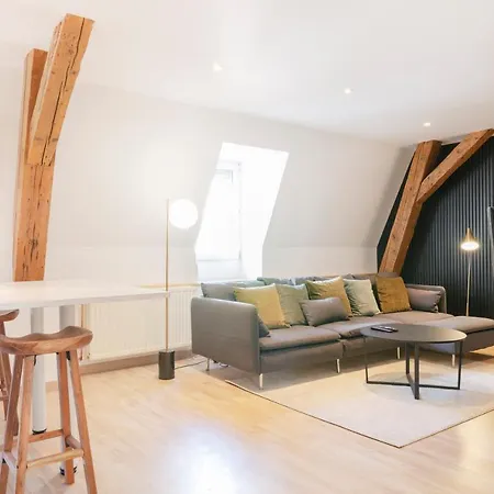 Le Chic De Serre - Sublime Loft Au Coeur De Nancy Exterior photo